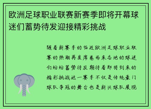 欧洲足球职业联赛新赛季即将开幕球迷们蓄势待发迎接精彩挑战
