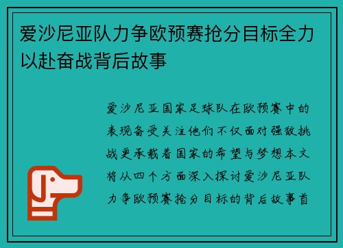爱沙尼亚队力争欧预赛抢分目标全力以赴奋战背后故事